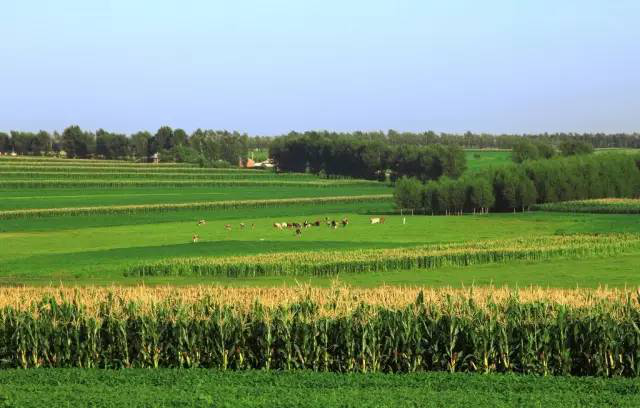 创意农业新篇章 精准、立体与生态农业如何赋能现代园艺作物种植