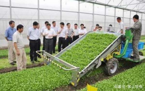 数字农业在园艺作物种植中的建设内容与实施路径