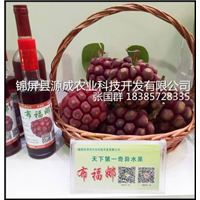 布福娜种植技术与苗木供应指南 开启湖北特色园艺新篇章